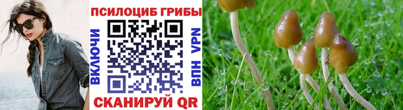 Галлюциногенные грибы ЛСД  Купить  Черняховск 